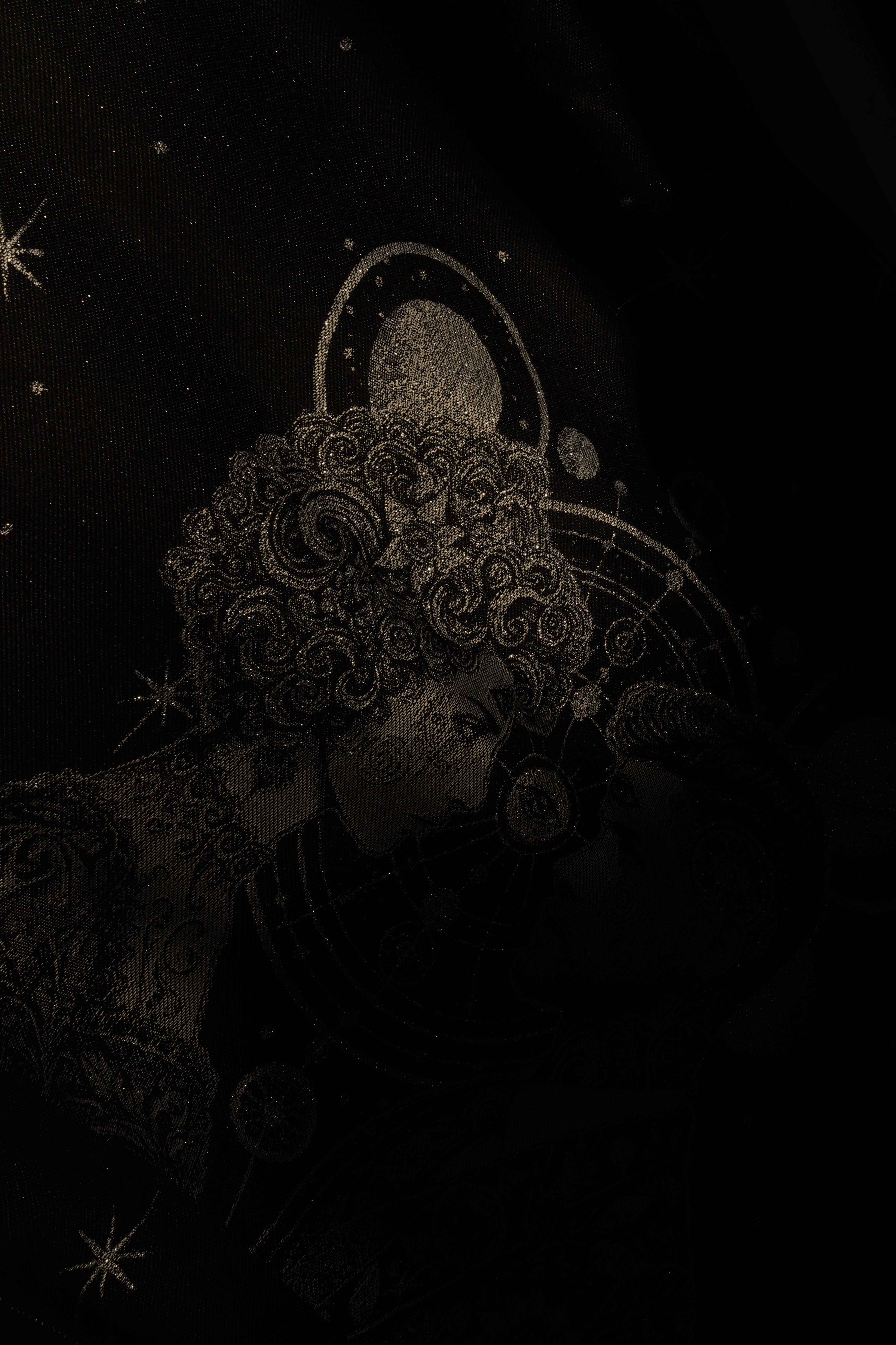 Draagzak Onbu Vega en Altair