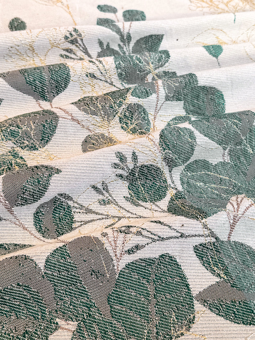 Eucalyptus doré