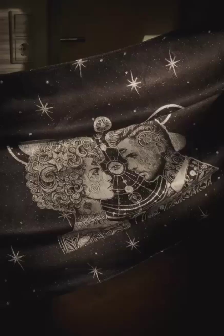 Porte-Bébé Flip X Pro Vega et Altaïr